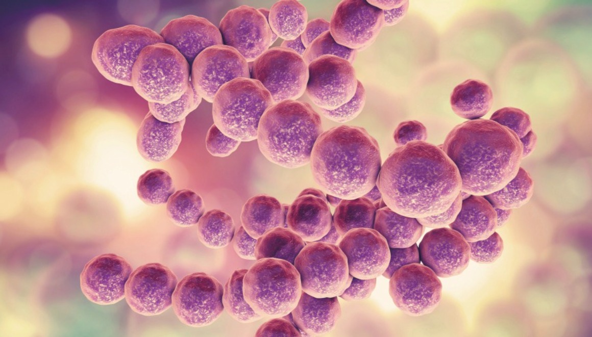 龍眼花萃取 龍眼花萃取