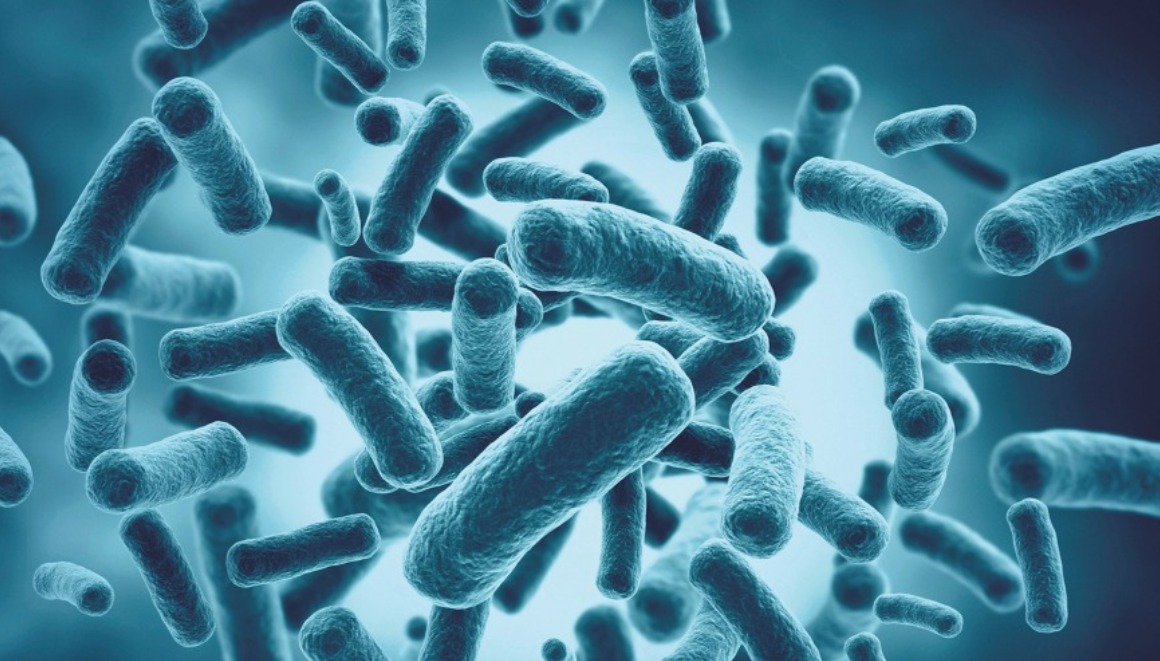 龍眼花萃取 龍眼花萃取