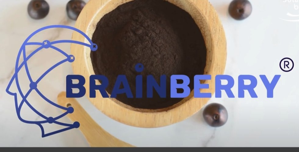 BRAINBERRY 荷蘭專利野櫻莓